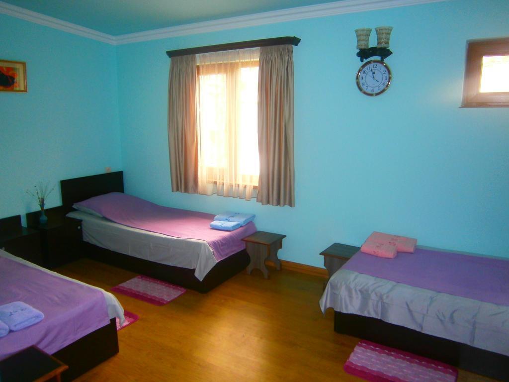 Aygestan Comfort Holiday Home エレバン 部屋 写真
