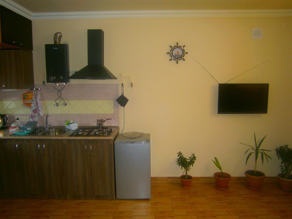 Aygestan Comfort Holiday Home エレバン 部屋 写真
